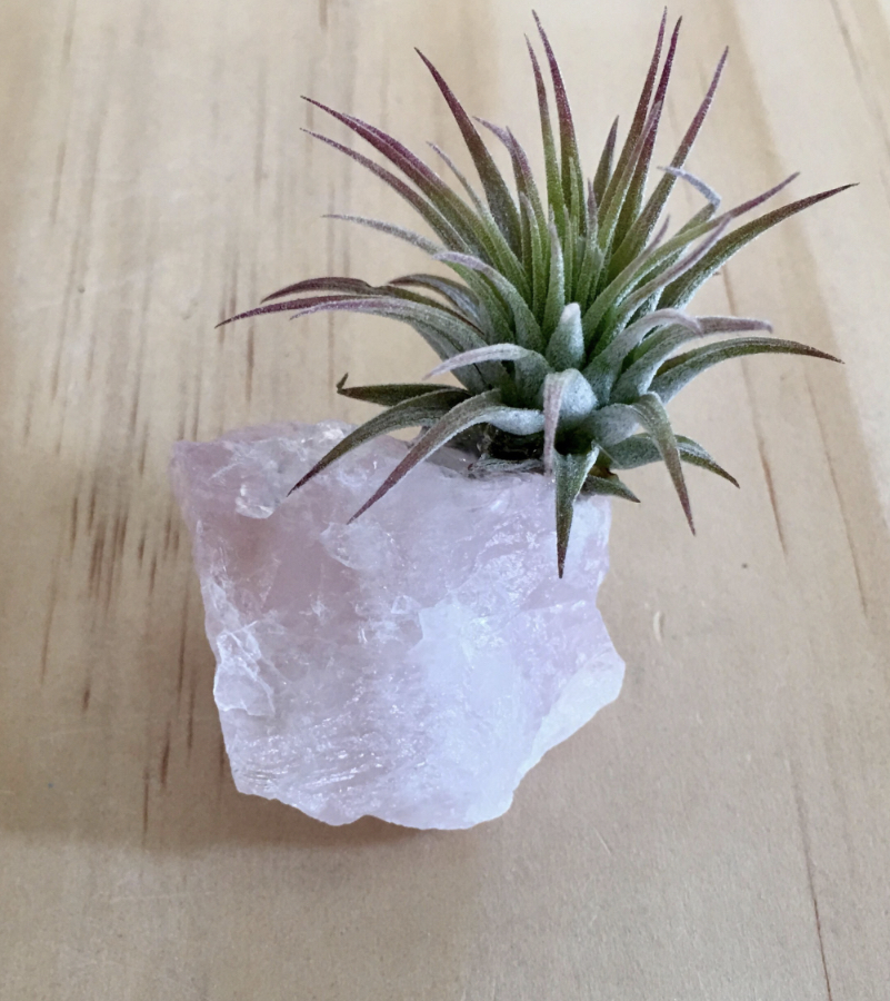 157650DE-0E27-426A-9DBD-12ED552544CA