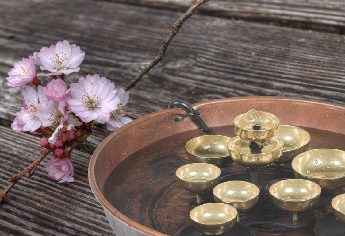 B420B914-9B74-4086-A6A8-5D47F16917CF